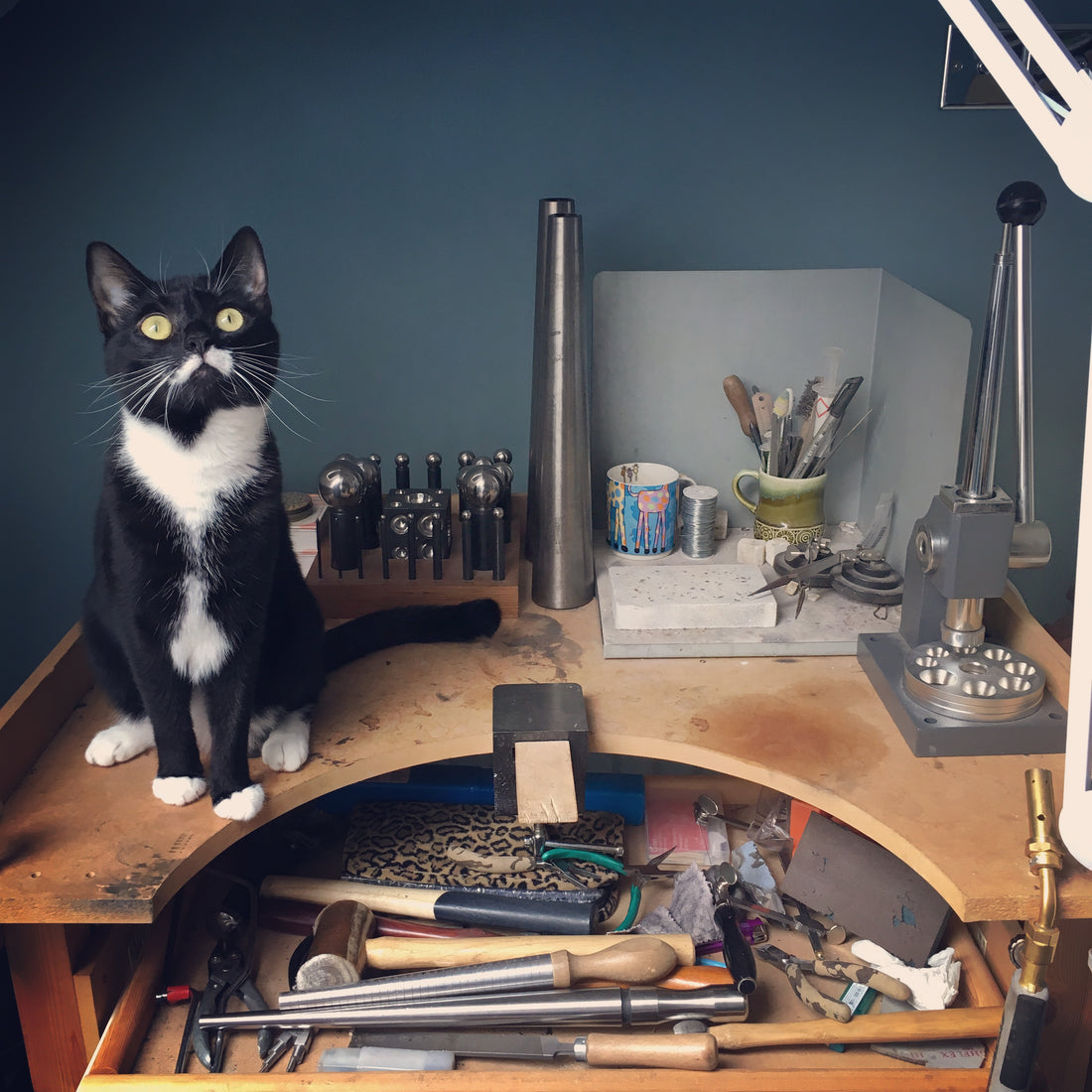 Curious Magpie's new home -The Blue Loft Studio