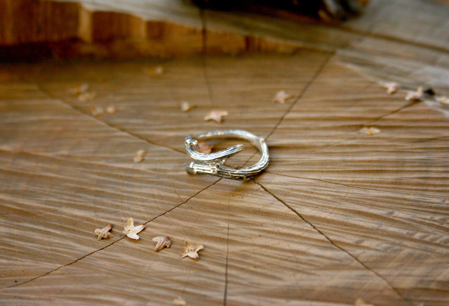 Silver Branch Ring - Curious Magpie Jewellery - 6